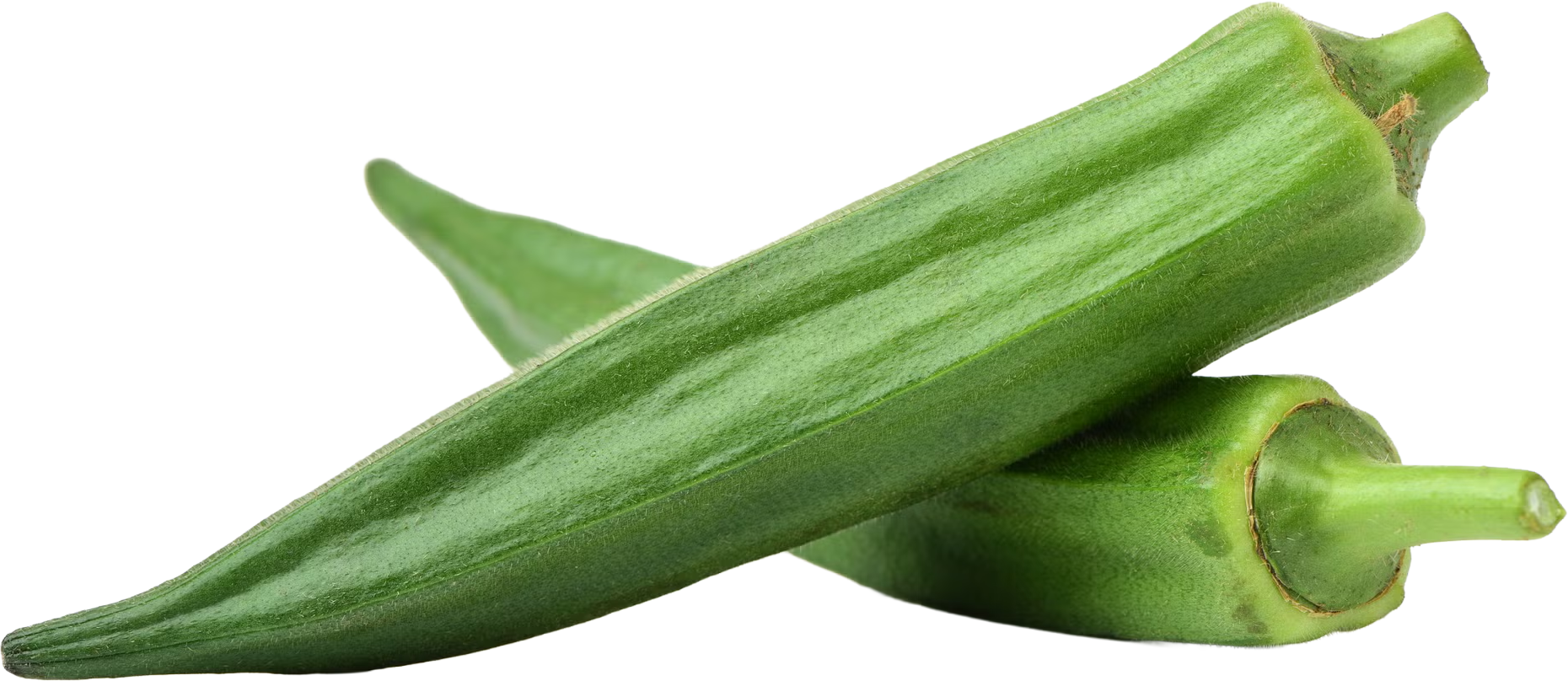 Okra